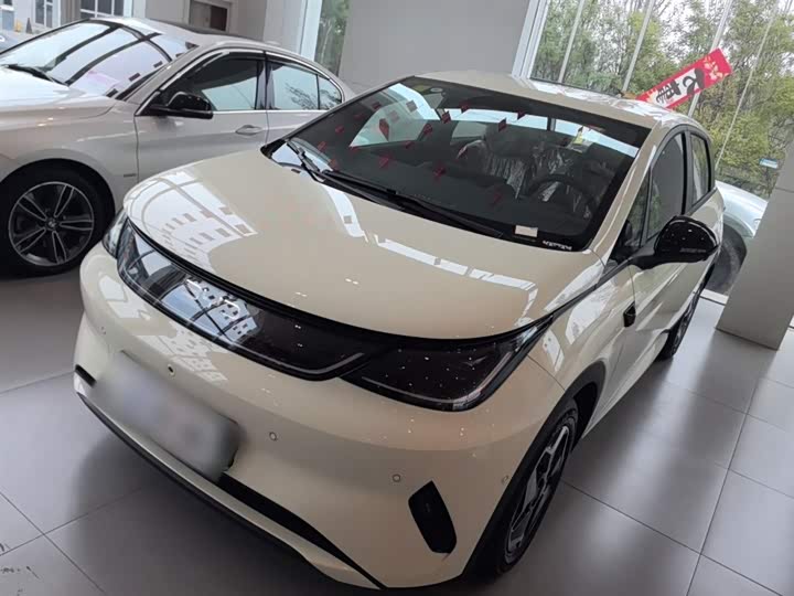 Фото 2 - BYD Dolphin