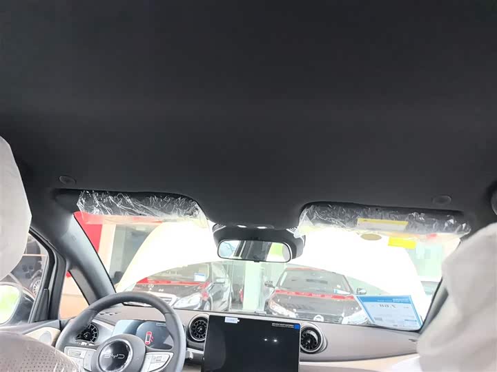 Фото 8 - BYD Dolphin