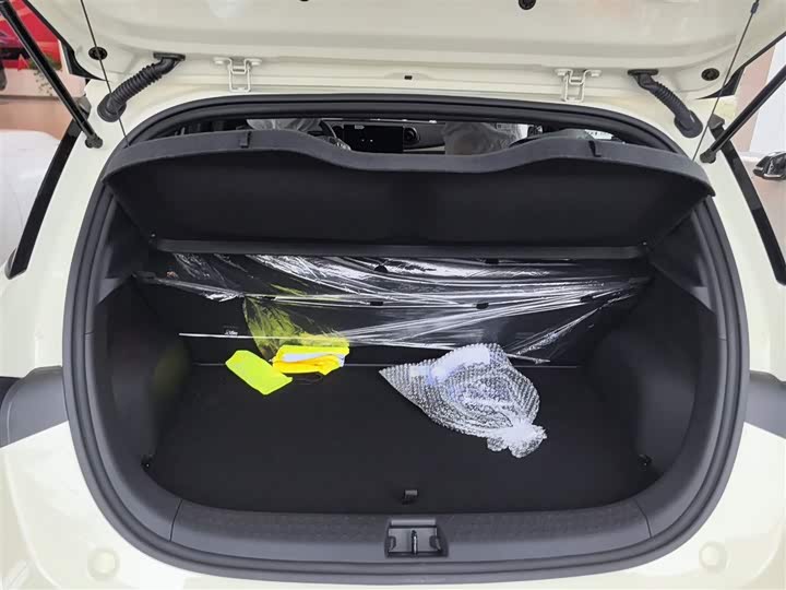 Фото 9 - BYD Dolphin