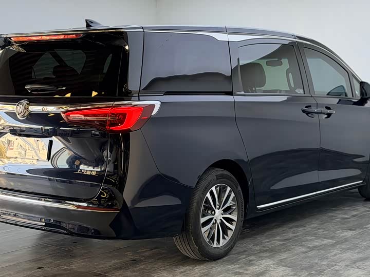 Фото 7 - Buick GL8 ES