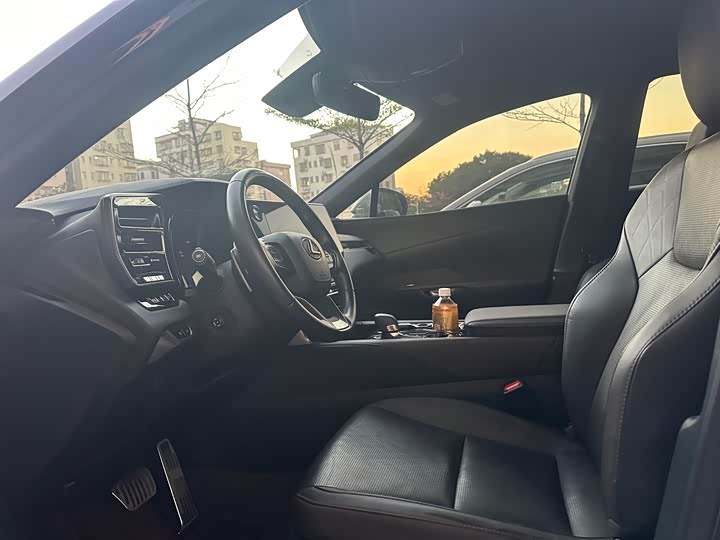 Фото 5 - Lexus RX