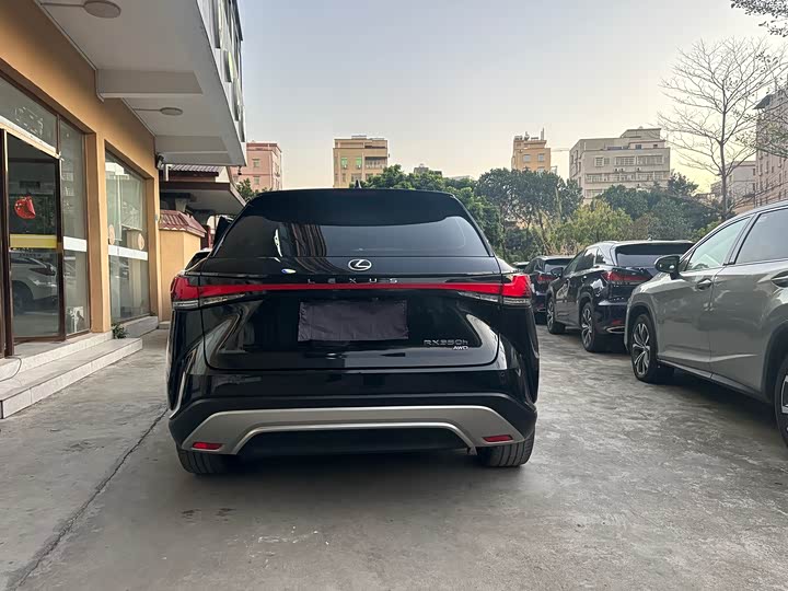 Фото 9 - Lexus RX