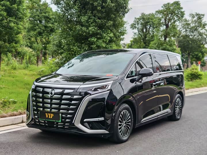 Фото 1 - Denza D9