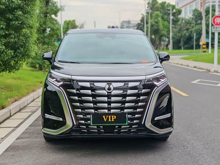 Фото 2 - Denza D9