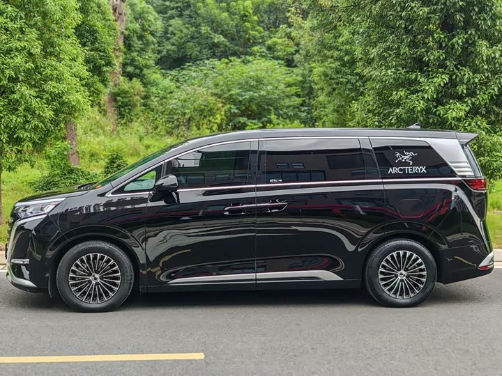 Фото 3 - Denza D9