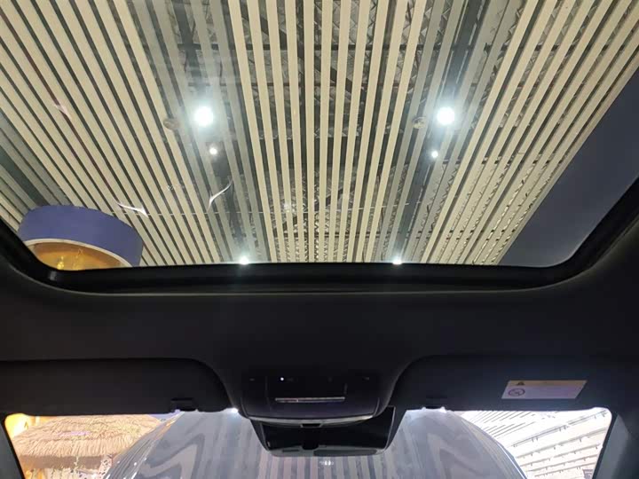 Фото 18 - Dongfeng Aeolus Yixuan Max