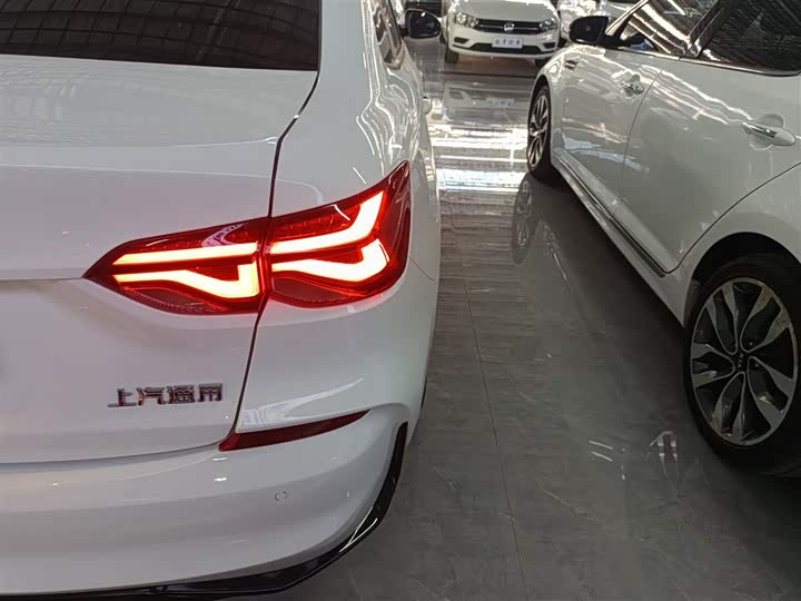 Фото 8 - Chevrolet Monza