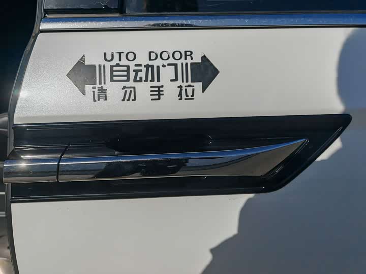 Фото 14 - Honda Elysion