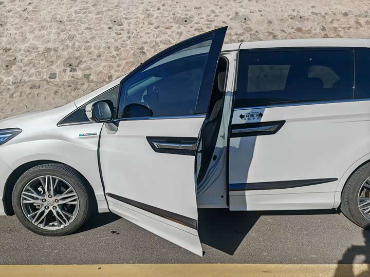 Фото 9 - Honda Elysion