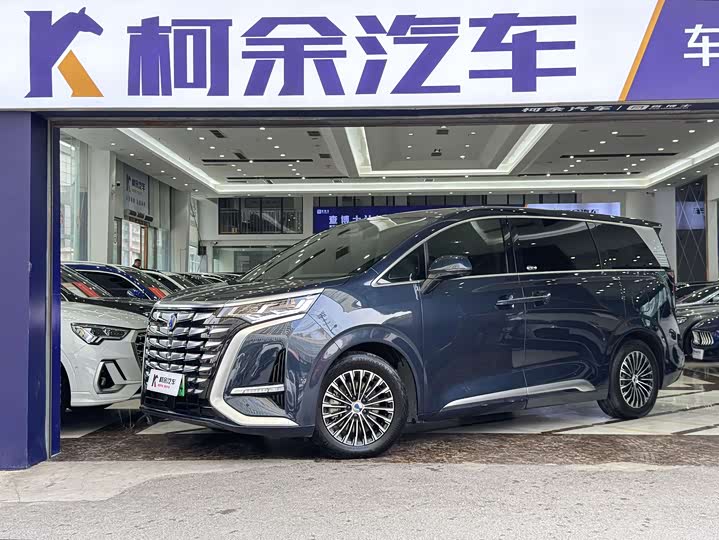 Фото 1 - Denza D9