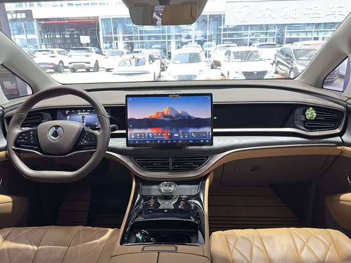 Фото 12 - Denza D9