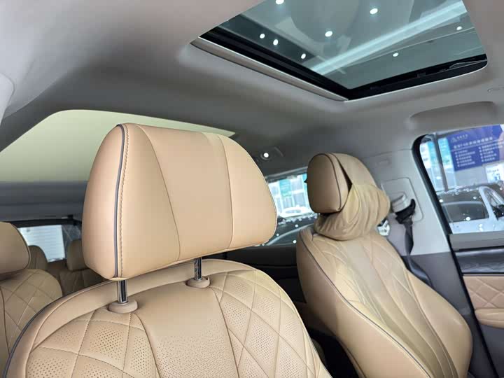 Фото 13 - Denza D9