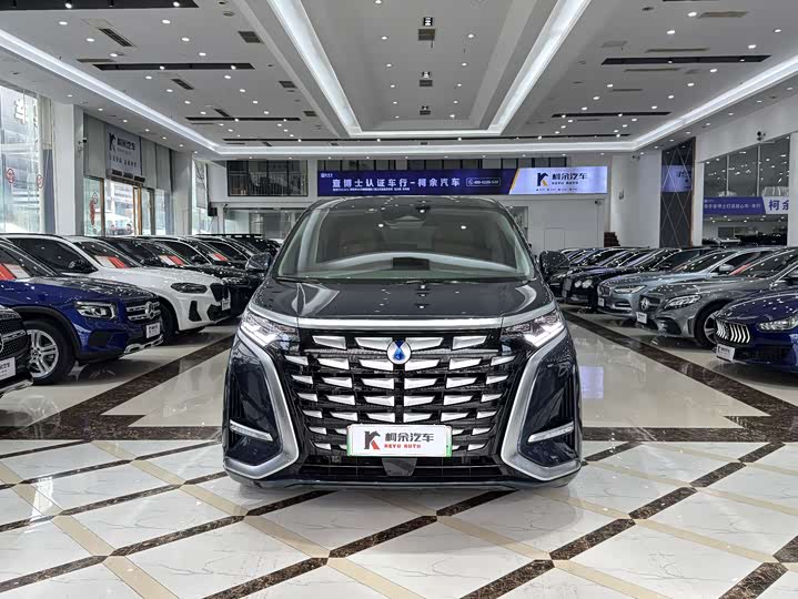 Фото 3 - Denza D9