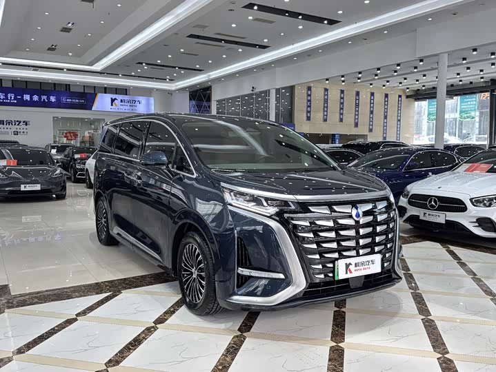 Фото 4 - Denza D9