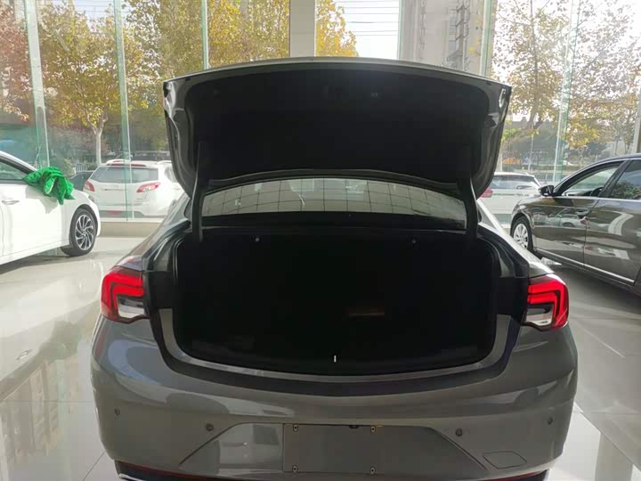 Фото 19 - Buick Regal