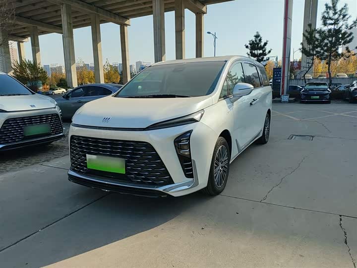 Фото 2 - Buick GL8 Hybrid