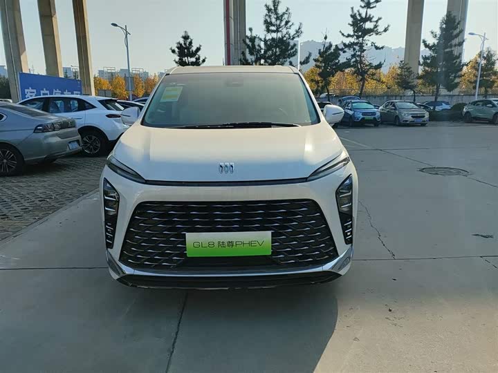 Фото 3 - Buick GL8 Hybrid