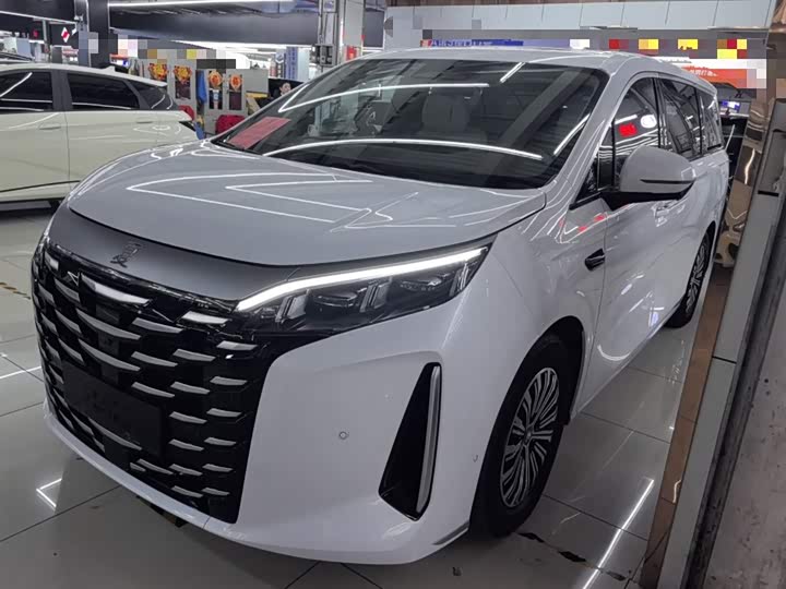 Фото 1 - BYD Xia