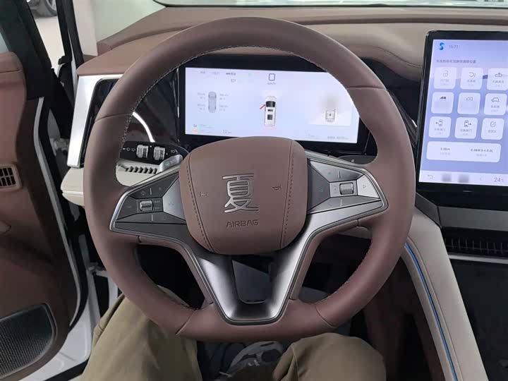 Фото 11 - BYD Xia