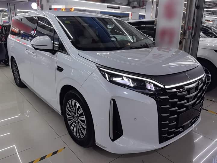 Фото 4 - BYD Xia