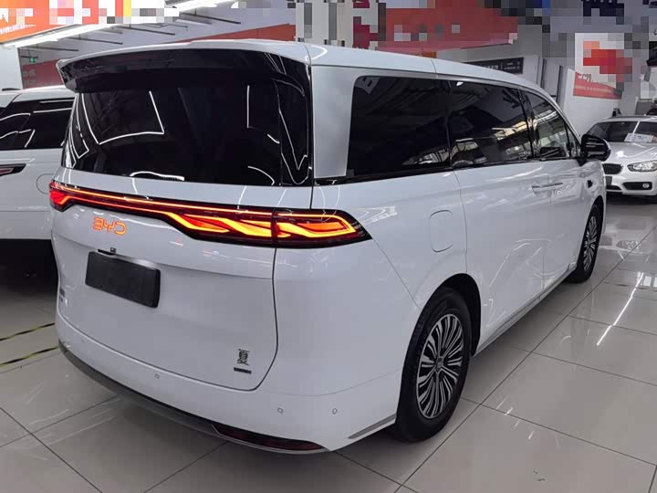 Фото 7 - BYD Xia