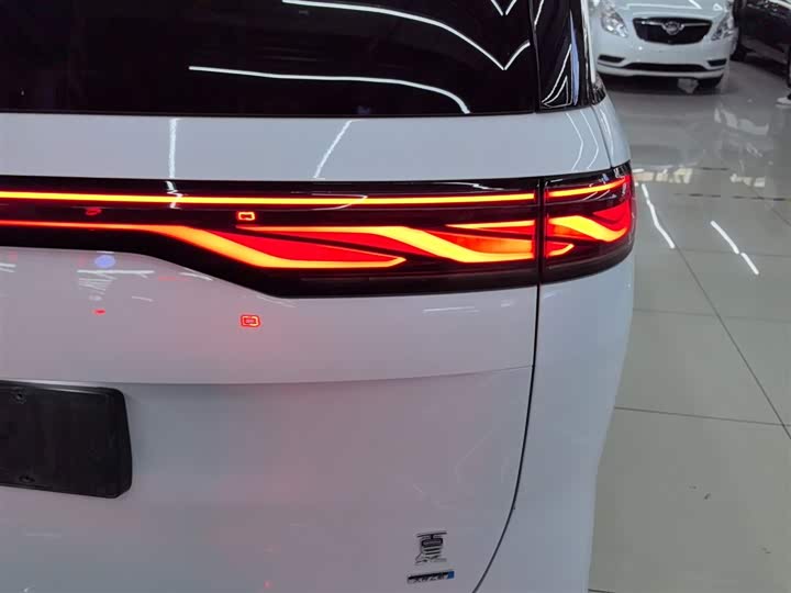 Фото 8 - BYD Xia