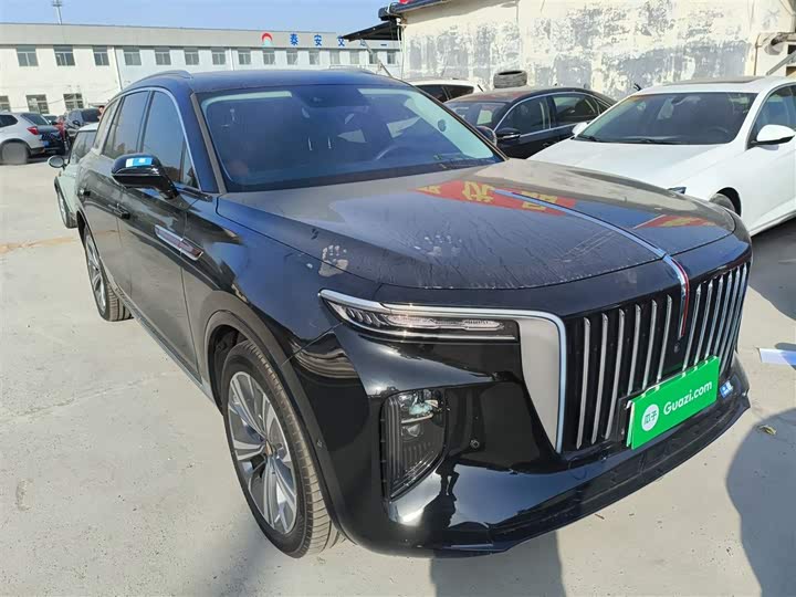 Фото 4 - Hongqi E-HS9
