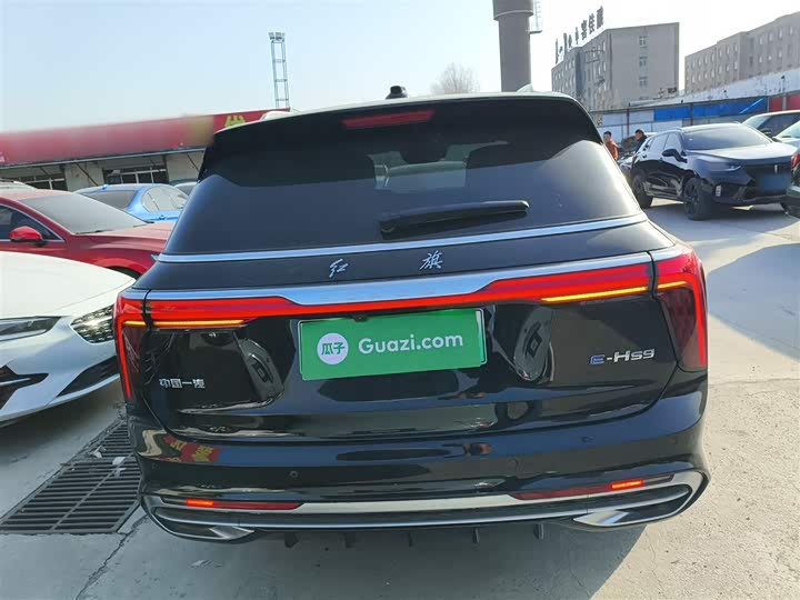 Фото 6 - Hongqi E-HS9