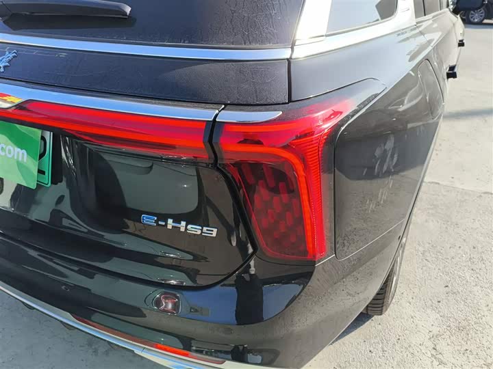 Фото 8 - Hongqi E-HS9