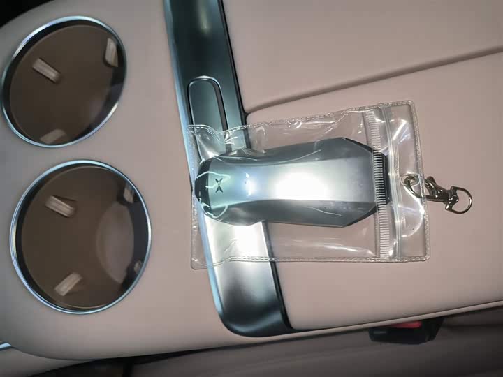 Фото 9 - XPeng X9