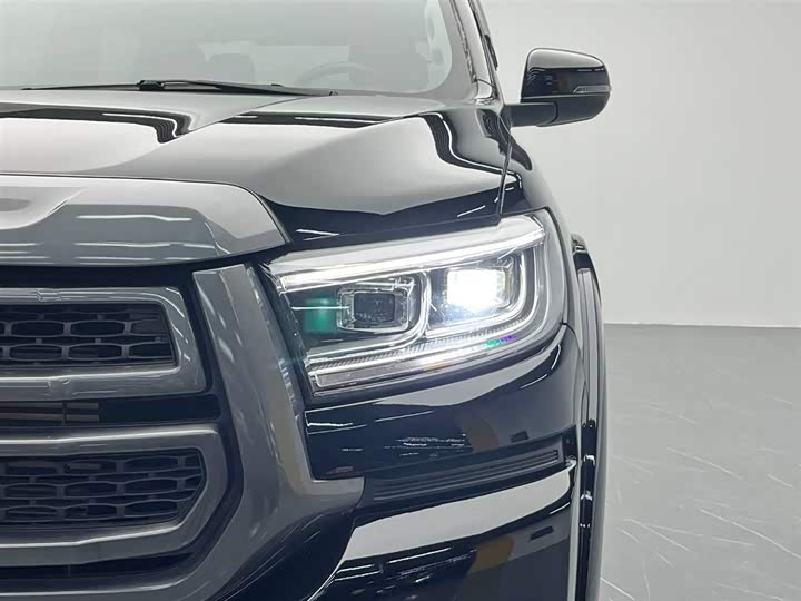 Фото 11 - Great Wall Pao