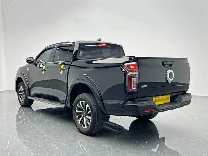 Фото 4 - Great Wall Pao