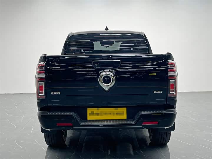 Фото 5 - Great Wall Pao