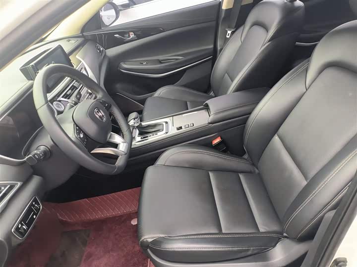 Фото 15 - Changan Raeton CC