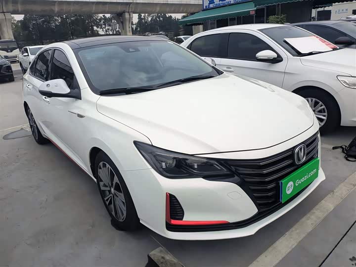 Фото 4 - Changan Raeton CC