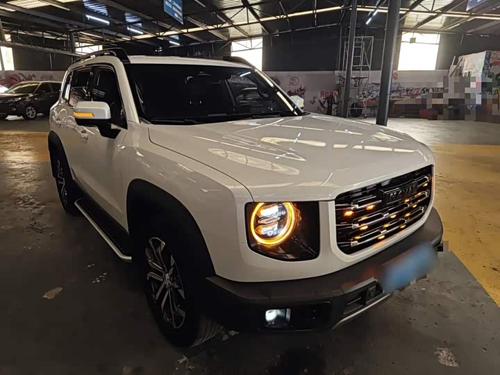 Фото 4 - Haval Dargo