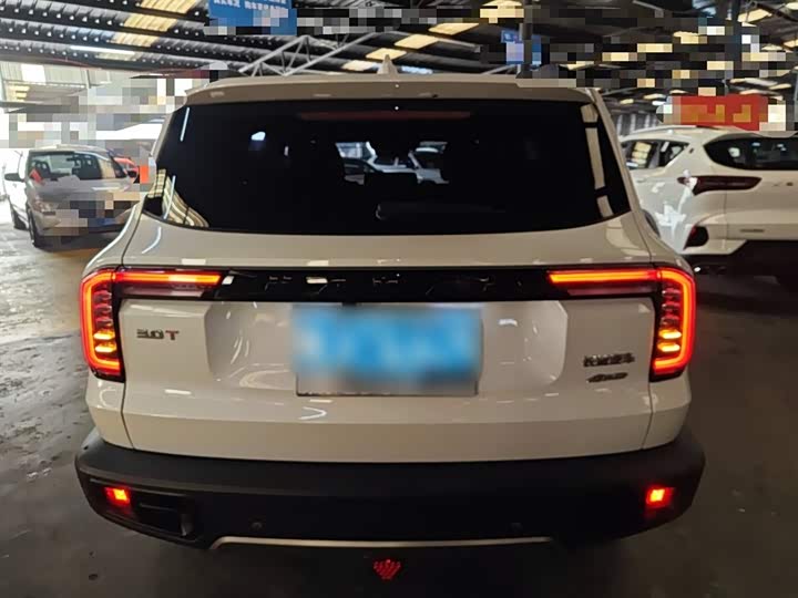 Фото 6 - Haval Dargo