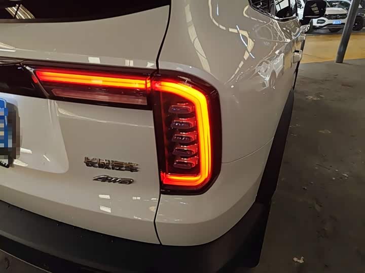 Фото 8 - Haval Dargo