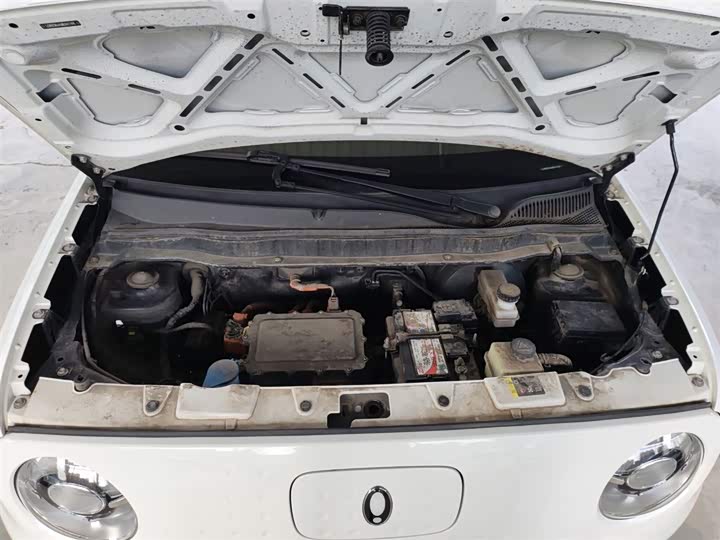 Фото 20 - Ora Black Cat