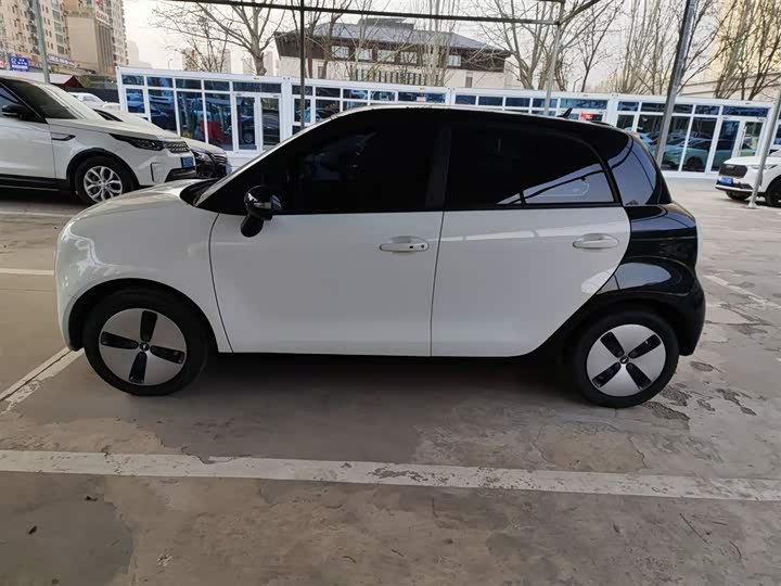 Фото 5 - Ora Black Cat