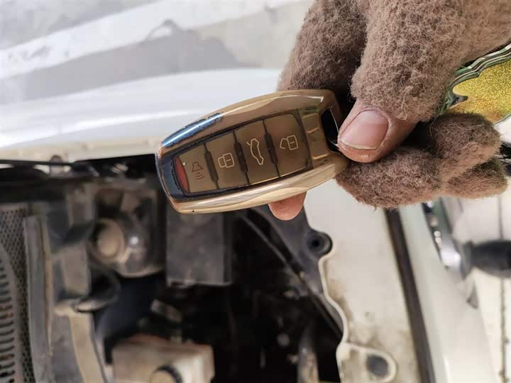 Фото 9 - Ora Black Cat