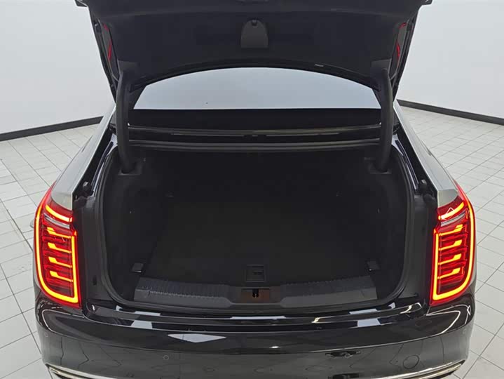 Фото 4 - Hongqi H9