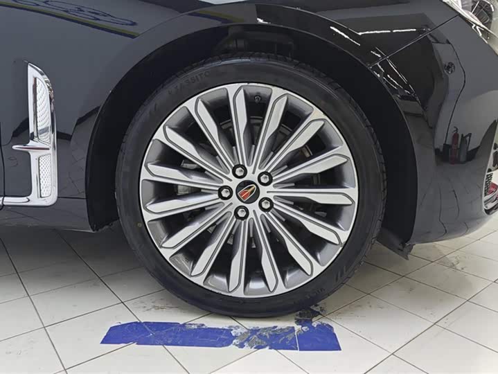 Фото 6 - Hongqi H9