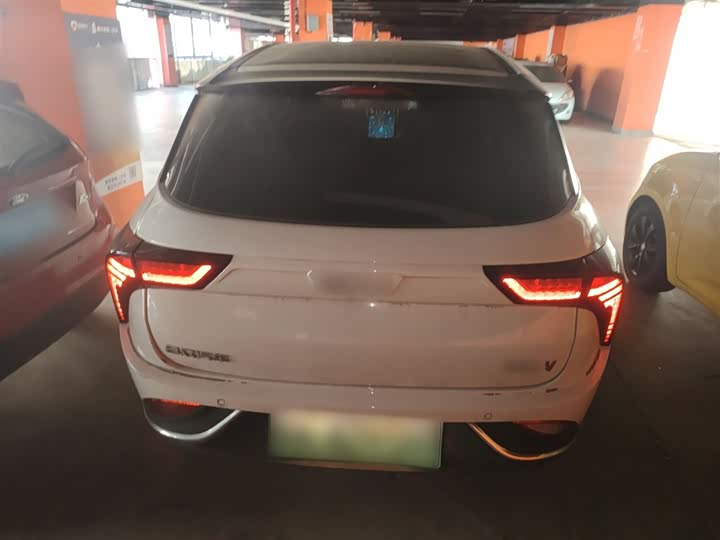 Фото 6 - Hozon V