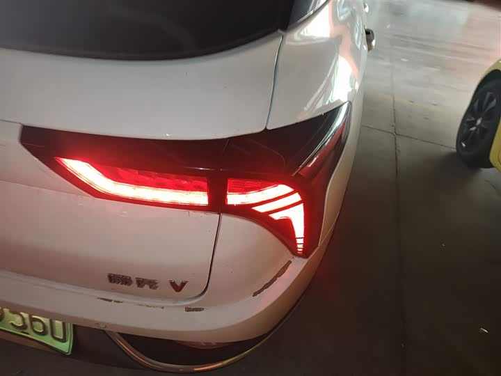 Фото 8 - Hozon V