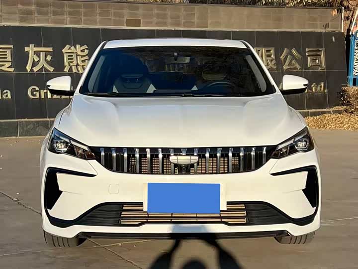Фото 2 - Geely Binrui