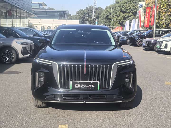 Фото 2 - Hongqi E-HS9