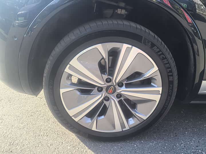 Фото 8 - Hongqi E-HS9