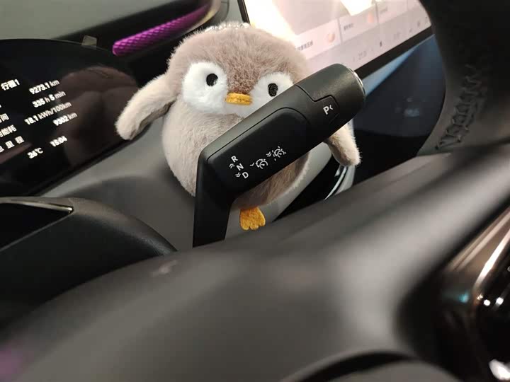 Фото 13 - Zeekr Mix