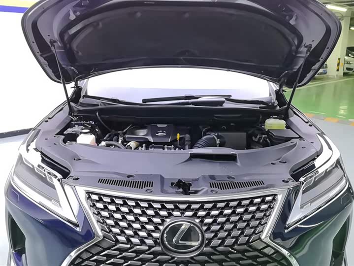 Фото 10 - Lexus RX